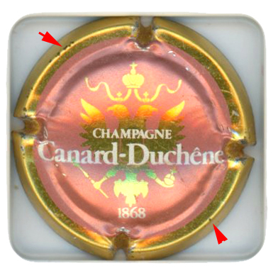 CANARD DUCHENE - Vue détaillée