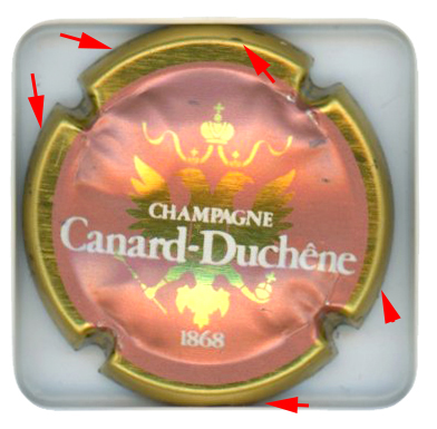 CANARD DUCHENE - Vue détaillée