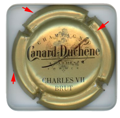 CANARD DUCHENE - Vue détaillée