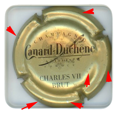 CANARD DUCHENE - Vue détaillée