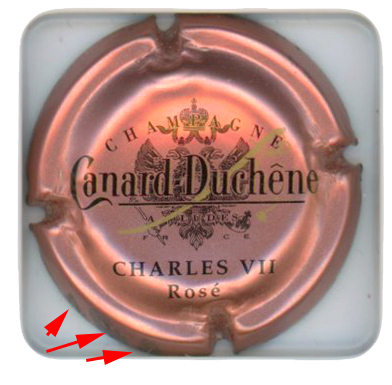 CANARD DUCHENE - Vue détaillée