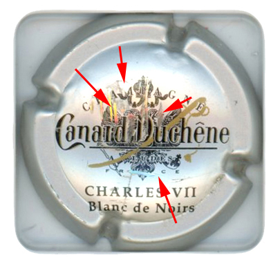 CANARD DUCHENE - Vue détaillée