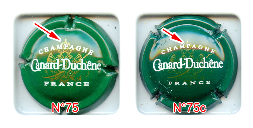 CANARD DUCHENE - Vue détaillée