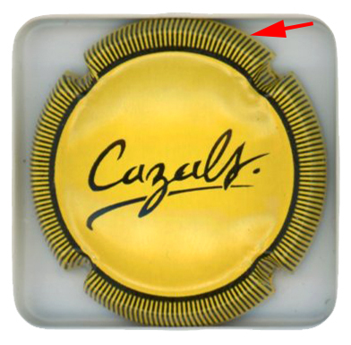 CAZALS - Vue détaillée