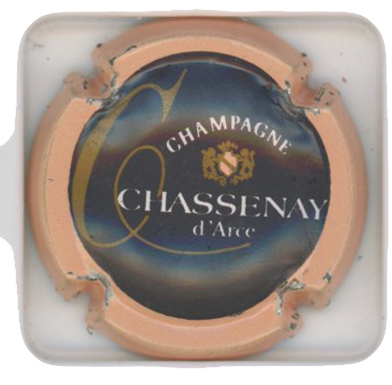 CHASSENAY-D'ARCE - Vue détaillée