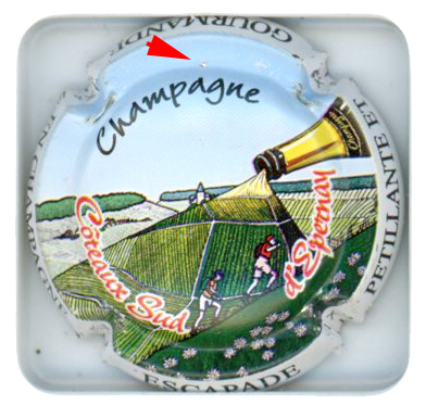 COTEAUX SUD EPERNAY - Vue détaillée