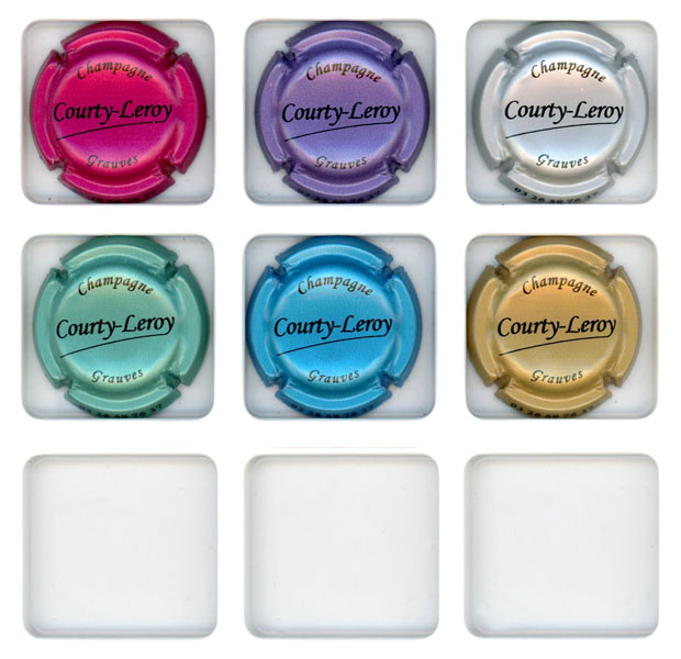 COURTY-LEROY - Vue détaillée