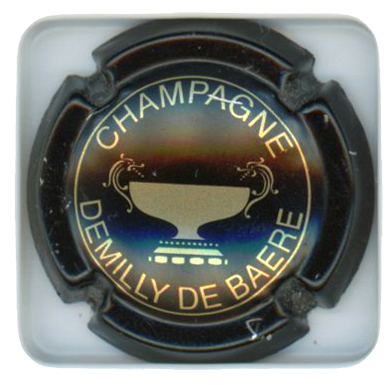 DEMILLY DE BAERE - Vue détaillée