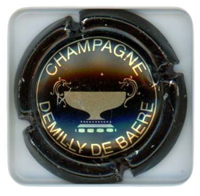 DEMILLY DE BAERE - Vue détaillée