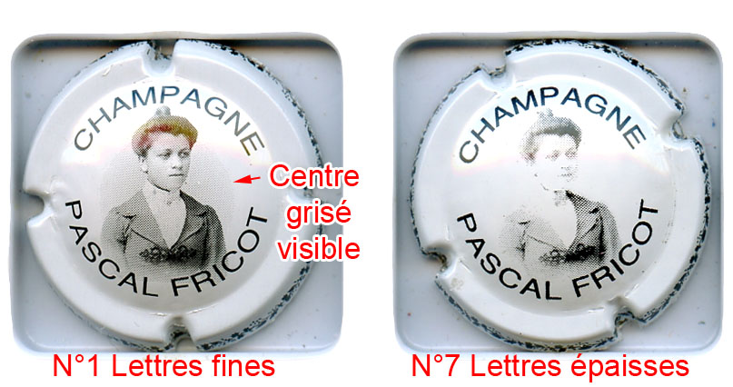 FRICOT Pascal - Vue détaillée