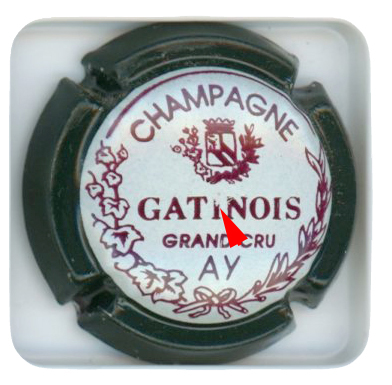 GATINOIS - Vue détaillée