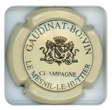 GAUDINAT-BOIVIN - Vue détaillée