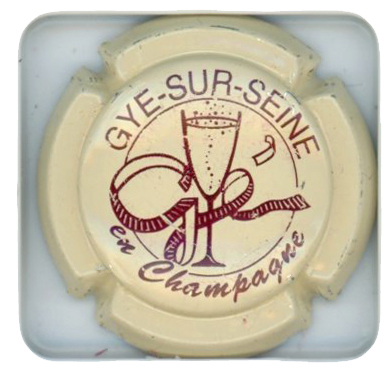GYE SUR SEINE - Vue détaillée