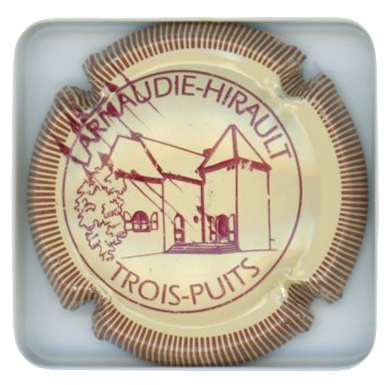 LARNAUDIE-HIRAULT - Vue détaillée