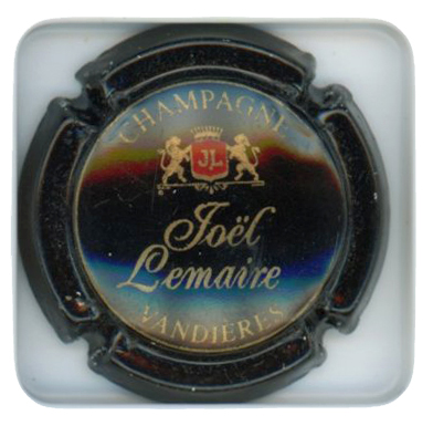 LEMAIRE Joël - Vue détaillée
