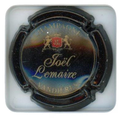LEMAIRE Joël - Vue détaillée