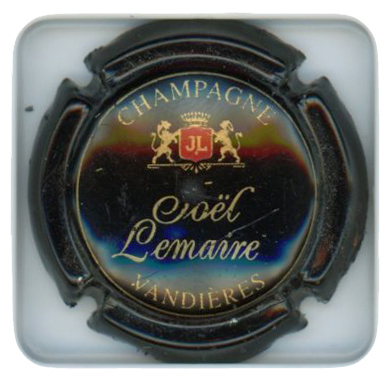 LEMAIRE Joël - Vue détaillée