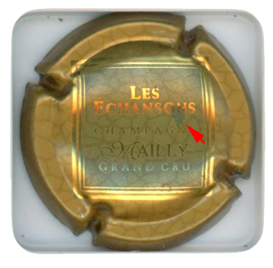 MAILLY-CHAMPAGNE - Vue détaillée