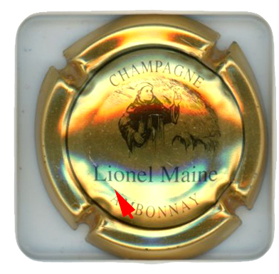 MAINE Lionel - Vue détaillée