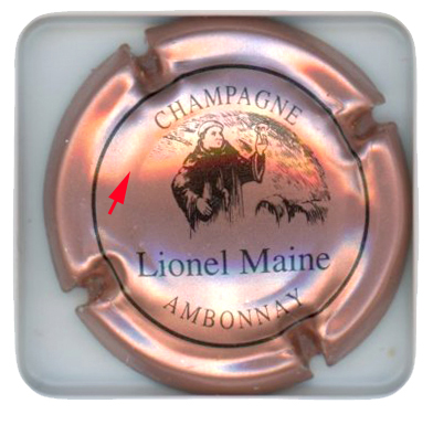 MAINE Lionel - Vue détaillée