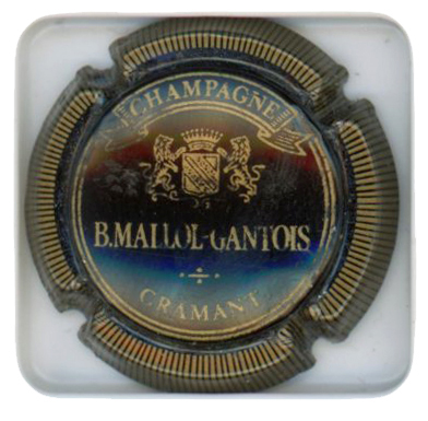 MALLOL-GANTOIS B. - Vue détaillée