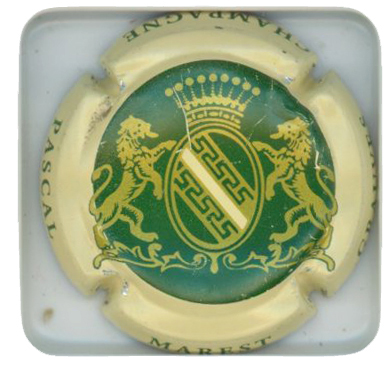 MAREST Pascal - Vue détaillée