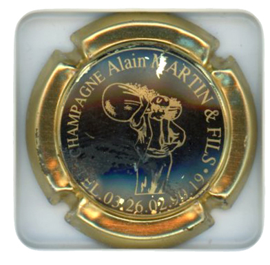 MARTIN Alain - Vue détaillée