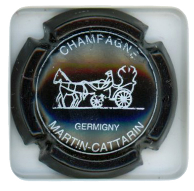MARTIN-CATTARIN - Vue détaillée