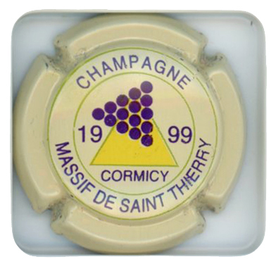 MASSIF DE ST THIERRY - Vue détaillée