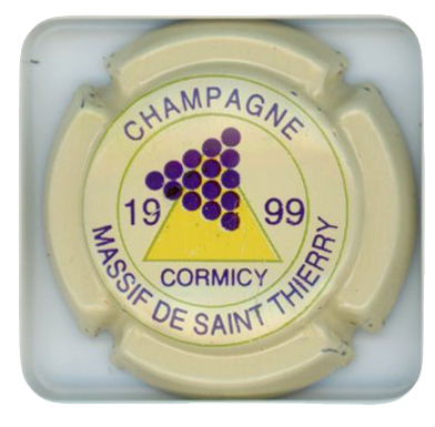 MASSIF DE ST THIERRY - Vue détaillée