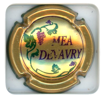 MEA DEVAVRY - Vue détaillée