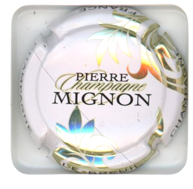 MIGNON Pierre - Vue détaillée