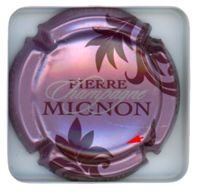MIGNON Pierre - Vue détaillée