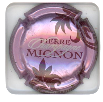 MIGNON Pierre - Vue détaillée