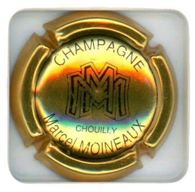 MOINEAUX Marcel - Vue détaillée