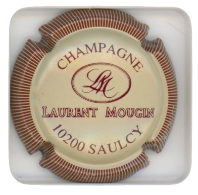 MOUGIN Laurent - Vue détaillée
