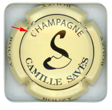 SAVES Camille - Vue détaillée
