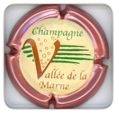 VALLEE DE LA MARNE - Vue détaillée