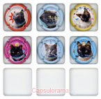 cliquez pour agrandir/réduire 1495 Générique