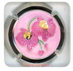 ~06967 FONTAINE SALOME