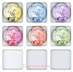 ~06995 LEMAIRE R. C.