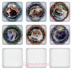 ~07069 HIRAULT CASSAN