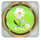 ~07098.2 BARON DAUVERGNE