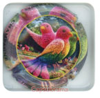 ~07126 THIBAUT-HERAULT Ludovic