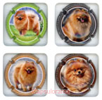 ~07205 DRAVIGNY Nathalie