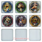 ~07211 DELABRUYERE Benoit