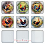 ~07221 LEMAIRE R. C.