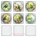 ~07223 BOUQUIN-DUPONT