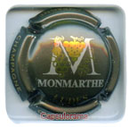 M48A1 MONMARTHE