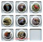 T06A28-08 TERRIEN J.F.